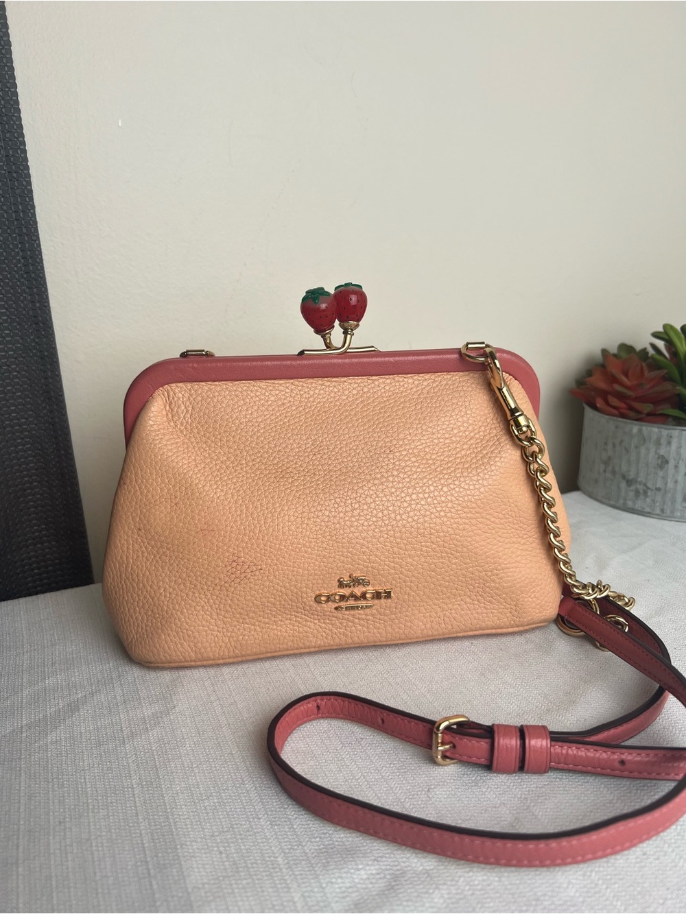 Coach Nora Strawberry Kiss-Lock Crossbody Bag